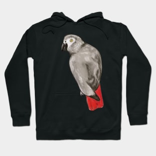 African Grey Hoodie